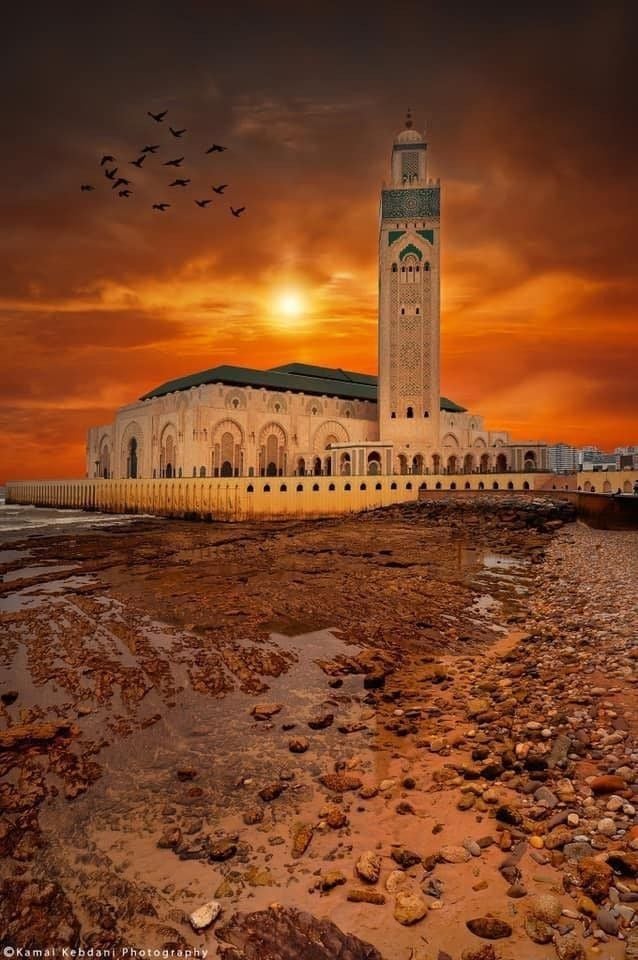 تجهيز ملف التأشيرة للسفر الخارجي